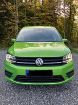 Volkswagen Caddy Maxi Beach 4motion DSG ACC Xenon Navi - Volkswagen Caddy Maxi aus 2018