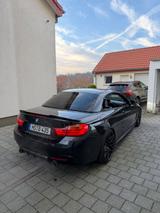 BMW 435i Cabrio Sport Line Sport Line - BMW 435: 435i