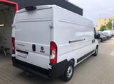 Fiat Ducato Series 9 35 L4H2 Kasten Klima, AHK - Offers
