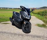 Honda Forza 125  ... Top Zustand ! - HONDA HONDA125