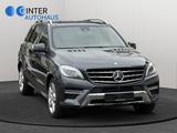 Mercedes-Benz ML 350 CDI BlueTec AMG / Sport-Paket*Designo* - Mercedes-Benz Ml AMG
