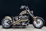 Harley-Davidson FLSTF