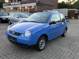 Volkswagen Lupo 1.0L 61.000-KM TüvNeu Garantie TOP!!! - Volkswagen Lupo: 1.0