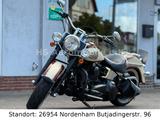 Harley-Davidson FLSTN Softail Deluxe - Angebote