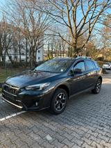 Subaru XV 1.6i Exclusive, Allrad, Automati... - Subaru XV aus 2019