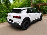 Citroën C4 Cactus PureTech 110 S&S Shine EAT6 Shine - Citroën C4 Cactus in Berlin
