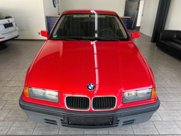 BMW 316 - 2
