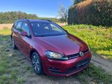 Volkswagen Golf VII Variant Comfortline BMT 4Motion - Volkswagen Golf: Variant Comfortline