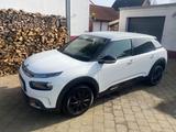 Citroën C4 Cactus PureTech 130 S&S Origins Origins - Citroën C4 Cactus von privat