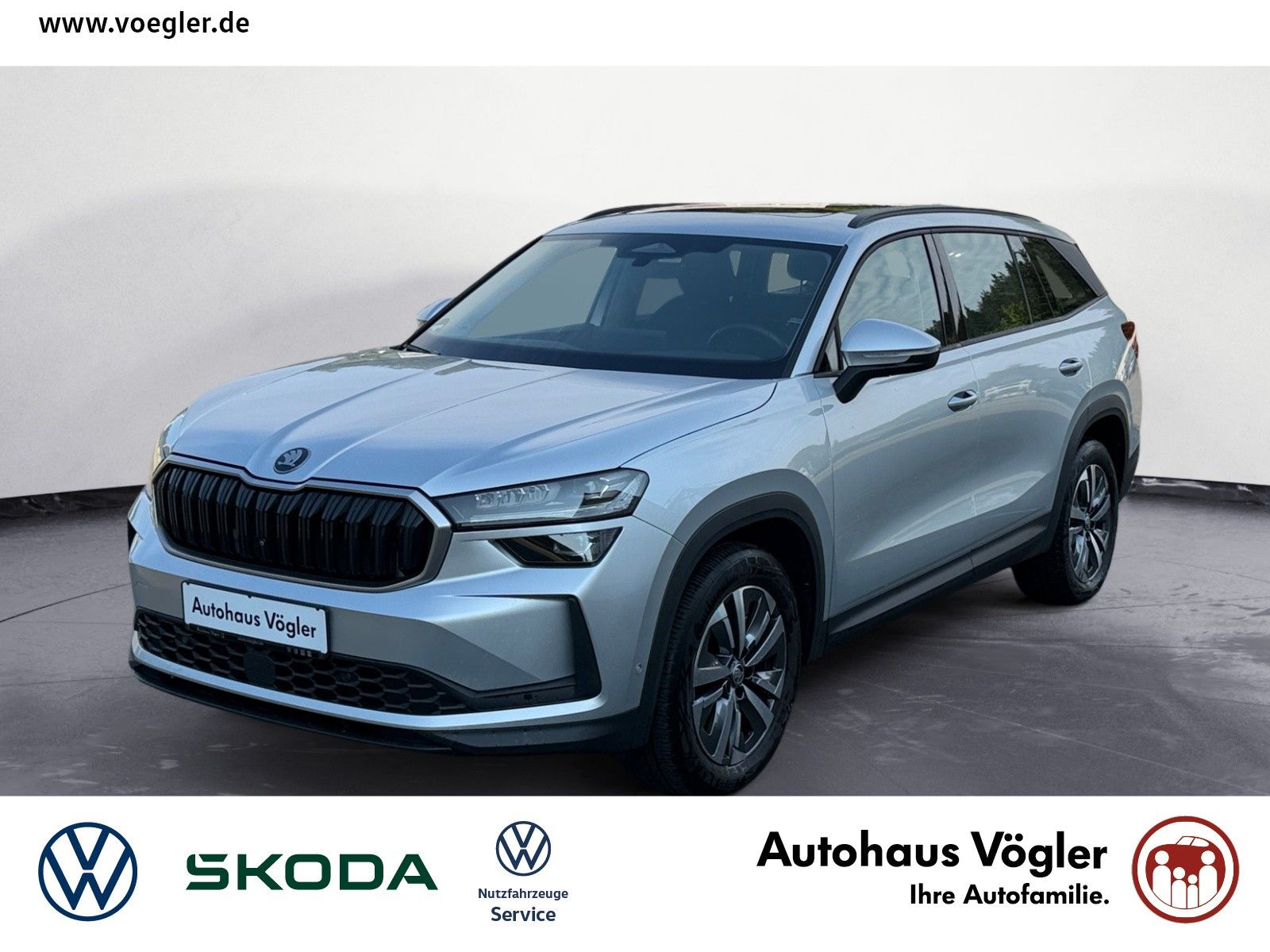 Kodiaq 2,0 TDI 4x4 Leder AHK Canton Matrix ACC