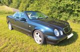 Mercedes-Benz CLK 230 KOMPRESSOR SPORT Sport - Mercedes-Benz CLK 230 aus 1998