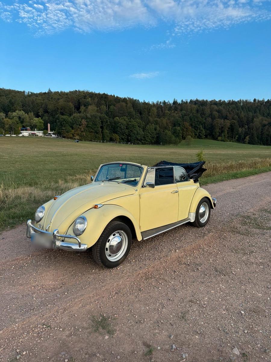 Volkswagen Andere