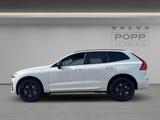 Volvo XC60 T8 AWD Plus Black Edition FACELIFT 21" 360° - Volvo XC60 Gebrauchtwagen in Leipzig