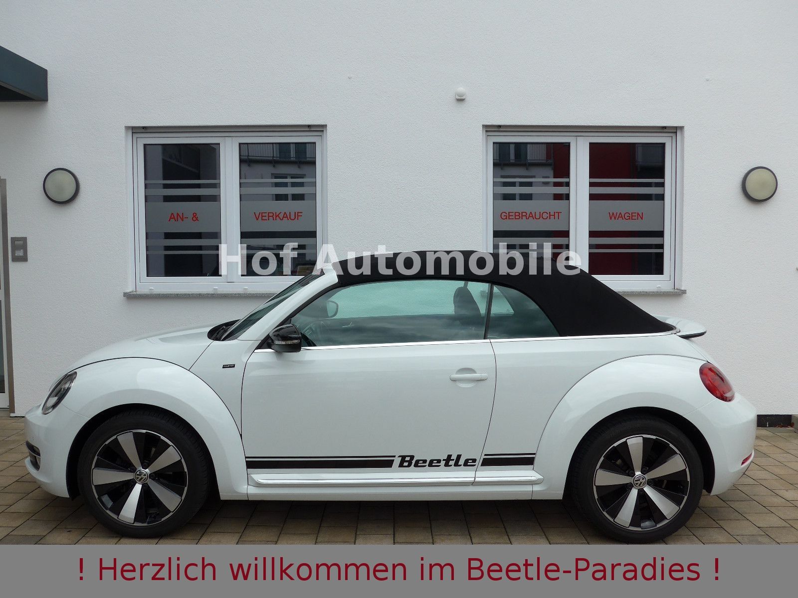 Volkswagen Beetle 1.2TSI Allstar Plus Xenon Leder Fender foto 8