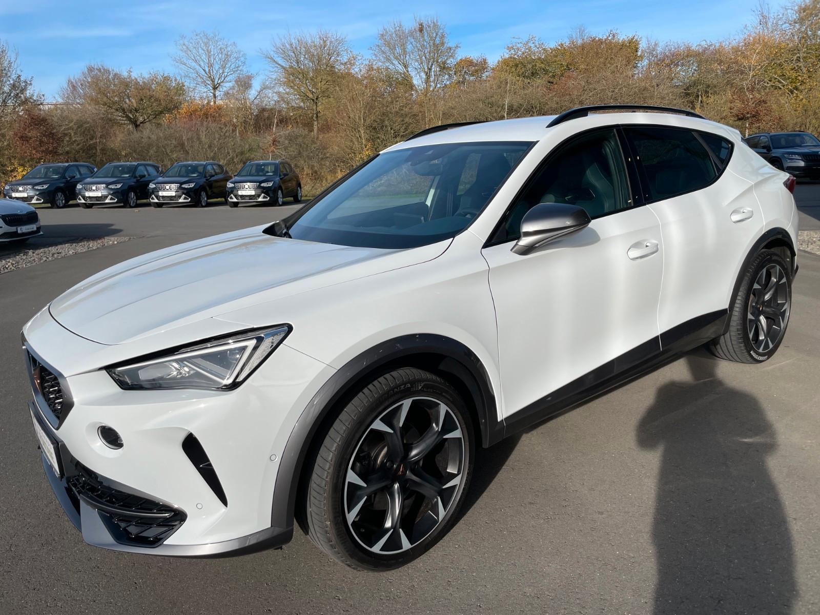 Cupra Formentor 1,5TSi Leder DCC Key 19"Virtual