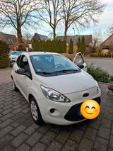 Ford Ka/Ka+ 1,2 Trend Trend - Ford Ka/Ka+ in Lübeck
