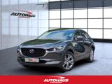 Mazda CX-30 2.5 e-SKYACTIV-G Exclusive-Line 2WD Navi - Mazda CX-30 Exclusive-Line mit Benzin-Antrieb