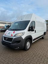 Fiat Ducato Maxi Grossr.-Kasten L5H3 CAM/NAVI/PDC