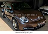 Volkswagen Beetle 1,2 TSI Design*Klima*Navi*8 FACH*TÜV NEU - VW Beetle Gebrauchtwagen in Berlin