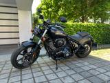 Indian Chief Dark Horse