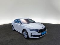Skoda Octavia - Vorschau Bild 5