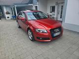 Audi A3 quattro 2.0 TDI 170PS - Xenon  - A... - Audi A3: TDI 170