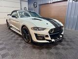 Ford Mustang Cabrio GT500 Shelby look, Cactus Gray - Ford Mustang in Herne