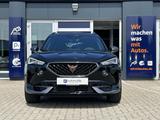 Cupra Formentor 2.0 TSI DSG VZ 4Drive*BEATS*AHK*ACC* - Cupra Formentor in Braunschweig