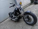 Harley-Davidson Softail Springer - HARLEY-DAVIDSON 1996 SOFTAIL