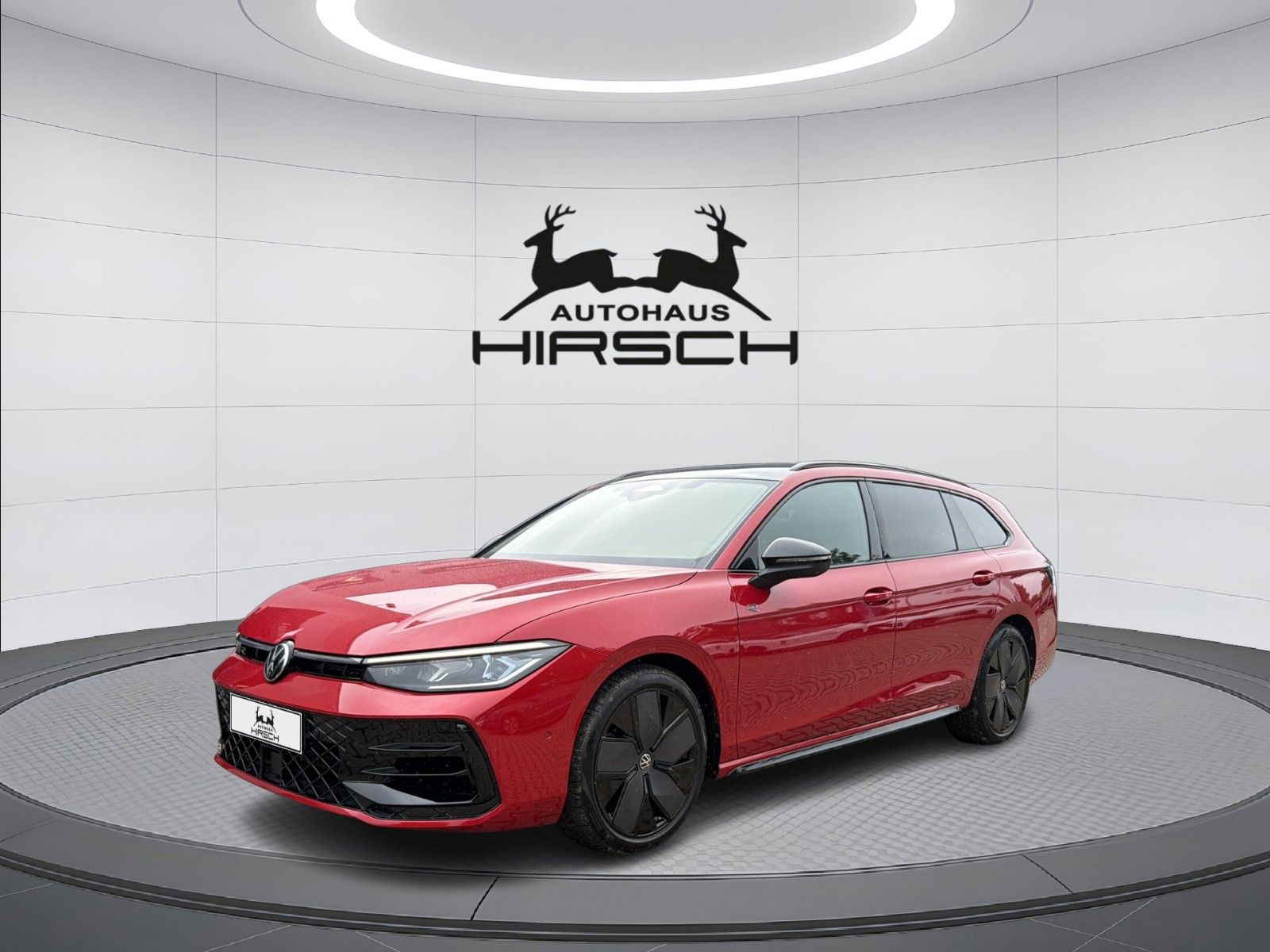 Volkswagen Passat Variant 2.0 TSI 4M R-Line 19 H&K DCC AHK