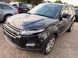 Land Rover Range Rover Evoque Pure - gebrauchte Land Rover Range Rover Evoque aus dem Jahr 2012