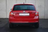 Skoda Rapid Spaceback 1.0 TSI Drive Xenon SmartLink - scheckheftgepflegte Skoda Rapid