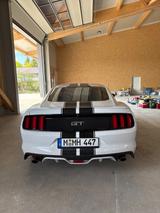 Ford Mustang 5.0 V8 GT 440 PS! Guter Zustand! TÜV neu - Ford Mustang in München