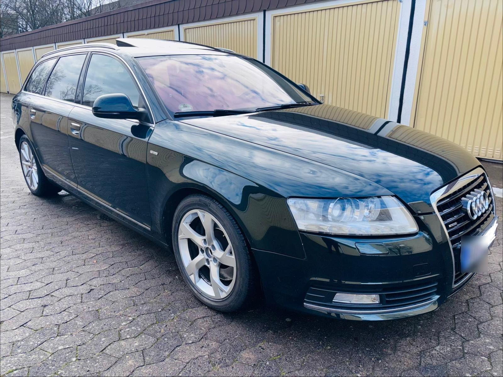 Audi Quattro 2010 — вигляд ззаду
