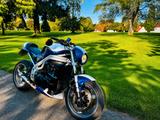 Triumph Daytona 955i Cafe Racer Custombike Speed Triple - TRIUMPH CAFE RACER