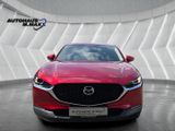 Mazda CX-30 Selection AWD ACC Spur Kamera HeadUp Apple - Mazda mit Benzin-Antrieb
