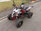 Yamaha YFM 700R SE RAPTOR - Yamaha Motorräder in Nürnberg