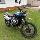 Triumph Scrambler 1200 Verhandlungsbasis  - TRIUMPH SCRAMBLER
