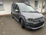 Volkswagen Caddy 2,0TDI 110kW BMT DSG Alltrack 4MOT 5-S... - Volkswagen Caddy Alltrack mit Diesel-Antrieb