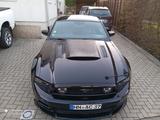 Ford Mustang GT5.0 - gebrauchte Ford Mustang aus dem Jahr 2014