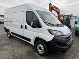 Fiat Ducato Kasten 35 140 L2H2 Facelift Navi Service - gebrauchte Fiat Ducato aus dem Jahr 2020