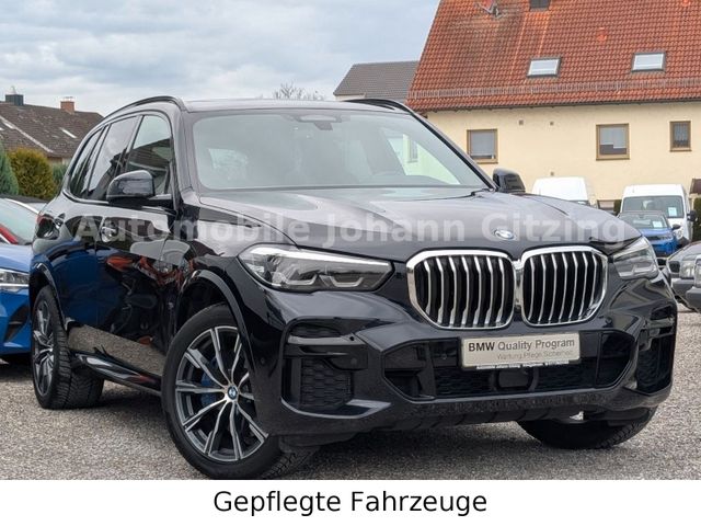 BMW X5 xDrive30d M-Sport Panorama 360°Dashcam Gestik