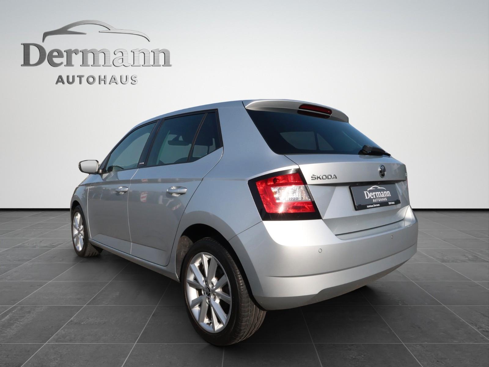 Skoda Fabia *Joy*CarPlay*Automatik*PDC*