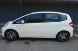 Honda Jazz 1.2 Trend - Honda Jazz Trend mit Benzin-Antrieb