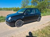 Volkswagen Lupo 1.4 College College - Volkswagen Lupo: College