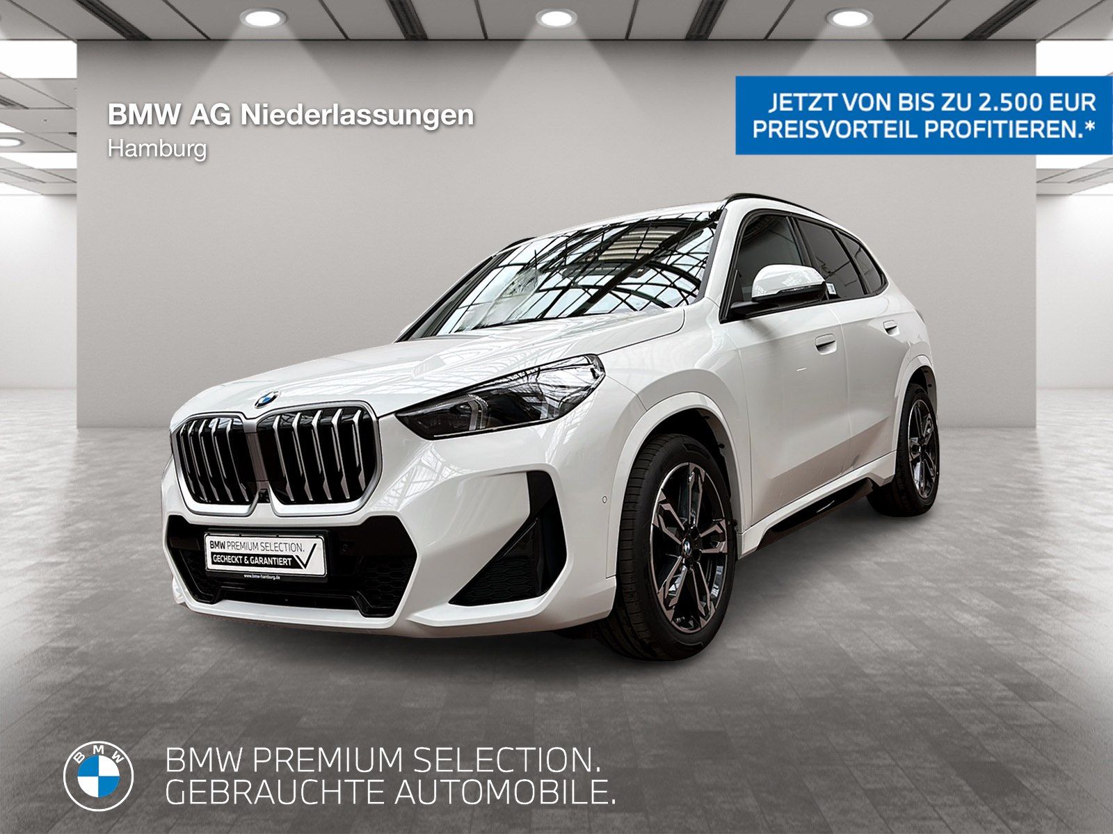 BMW X1 sDrive20i M Sport Driv.Assist.Prof Harman K foto 1