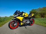 Aprilia Tuono 660 | Mivv, Quickshifter, IMU, Neue Reifen - Offers