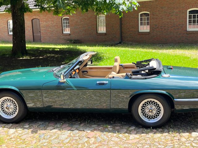 Jaguar XJS V12 Cabrio, Leder, Autom., nur 57.000 Km!!!