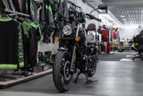 UM Renegade Sport 125, sofort lieferbar - Offers matching your search criteria