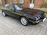 Jaguar XJ Executive 4.0 Executive TOP Zust.Neue Motor - Jaguar: Motor
